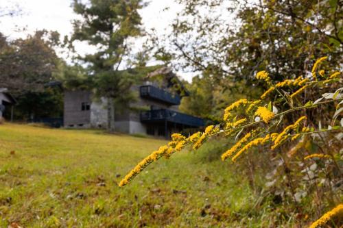 Burks Fork House | 168 Secluded Acres Trails, Winery 5BR