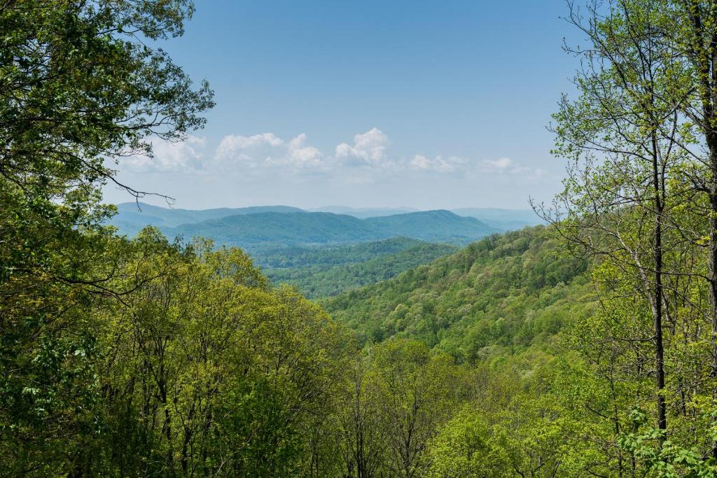 Fairview Ski Chalet | Asheville Sasha's Cabin