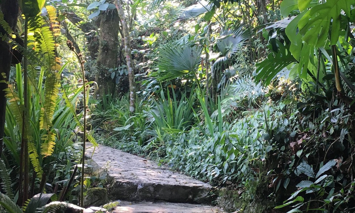 Cuetzalan del Progreso House | Corazón de Niebla