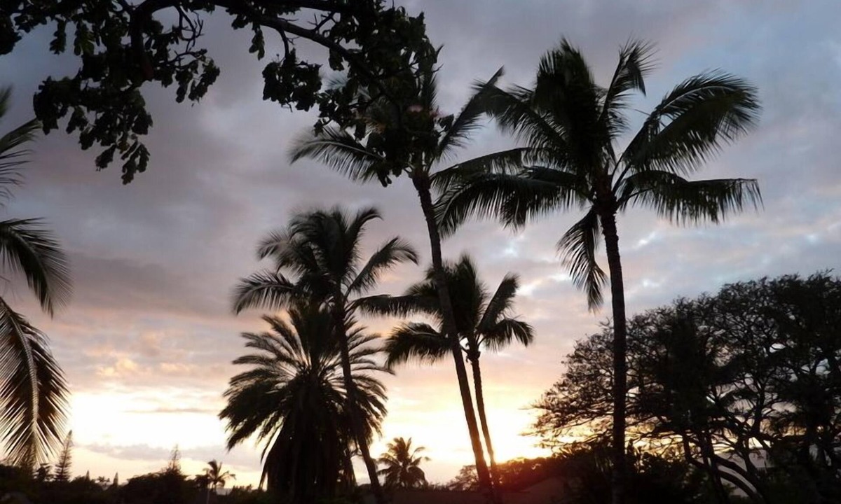 Kihei Cottage | Cozy Maui 'Treehouse' with lovely views and amenities