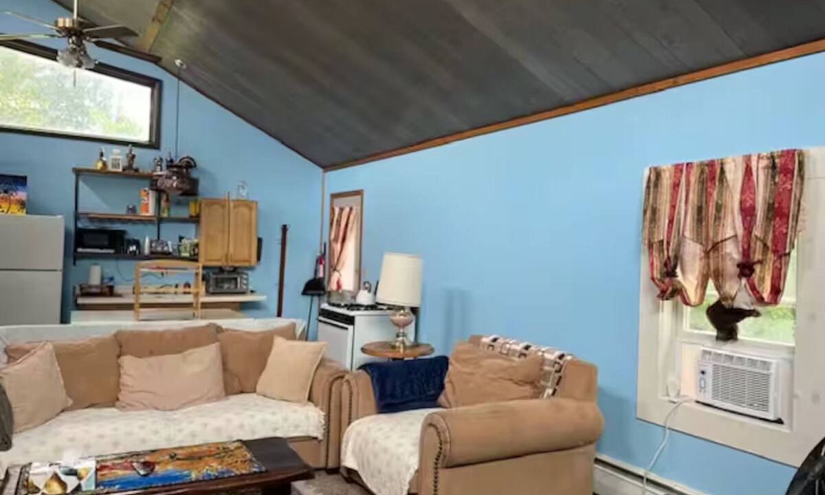 Saranac Lake Apartment | Cozy Rustic Escape - Near the Lake