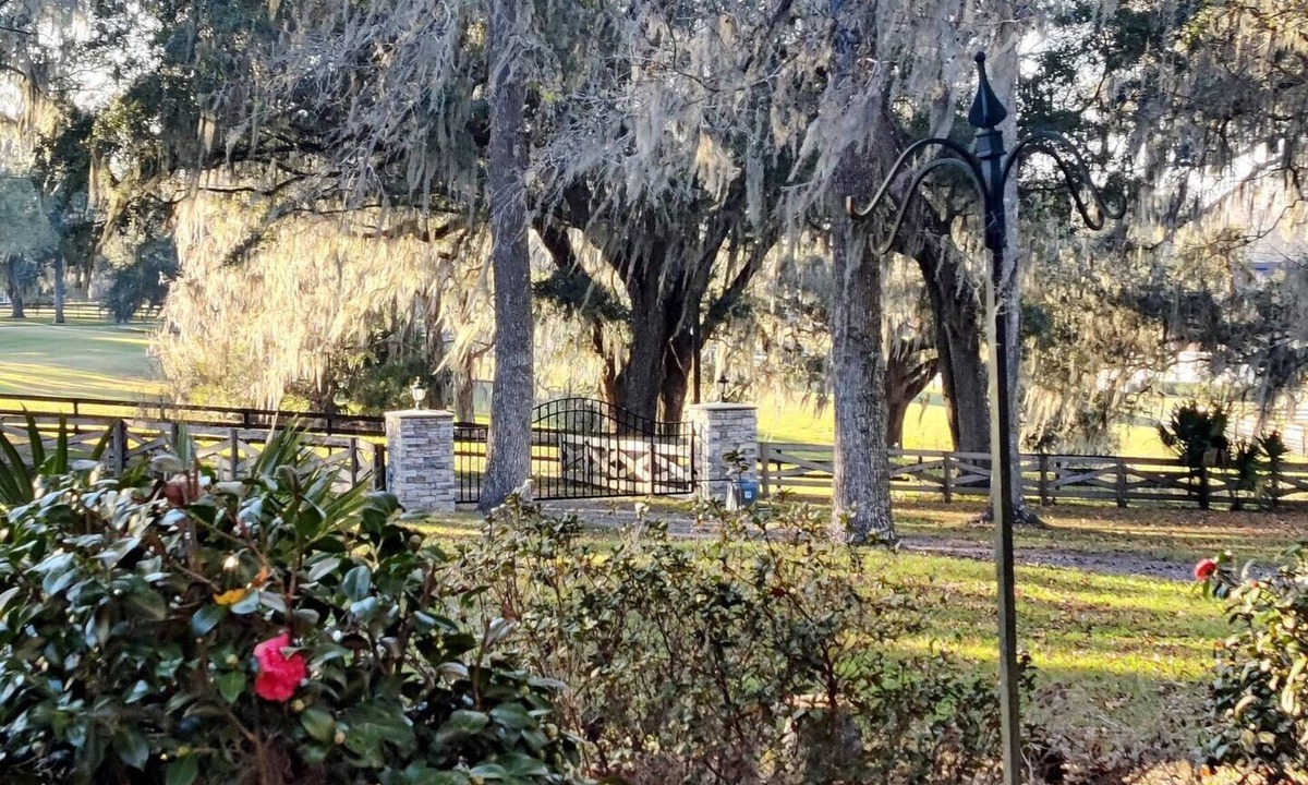 Ocala Apartment | Dreamy Studio in The Heart of Horse Country