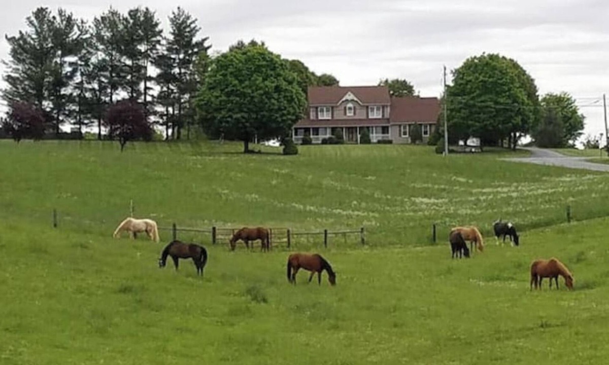 Hagerstown Apartment | Galloping Getaway on the rolling hills of GemStone Stable