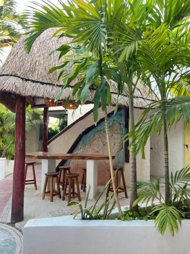Isla Holbox Hotel | Marvin Suites