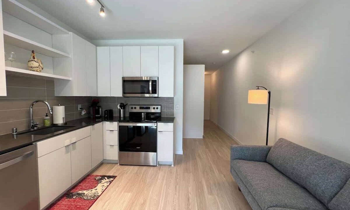 Hiawatha Apartment | Modern Sunny Micro 1BR Light Rail, Parks, MSP 305