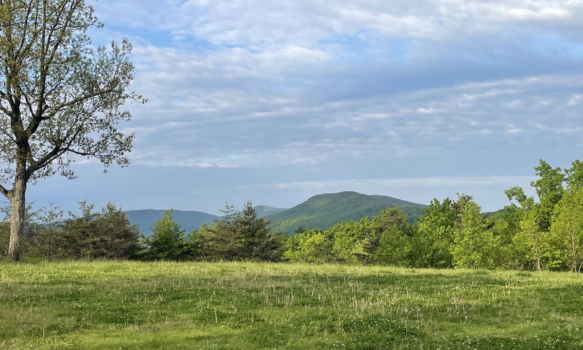 Ozone House | Mountain View Tiny House in Golf Capital of TN