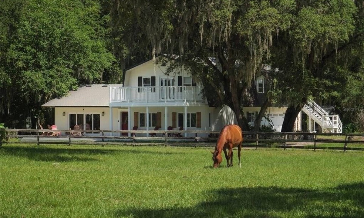 Ocala House | New! Stunning 10 ac Ocala Farm-WEC, HITS, SilverSprings, hour to Gainesville/UF
