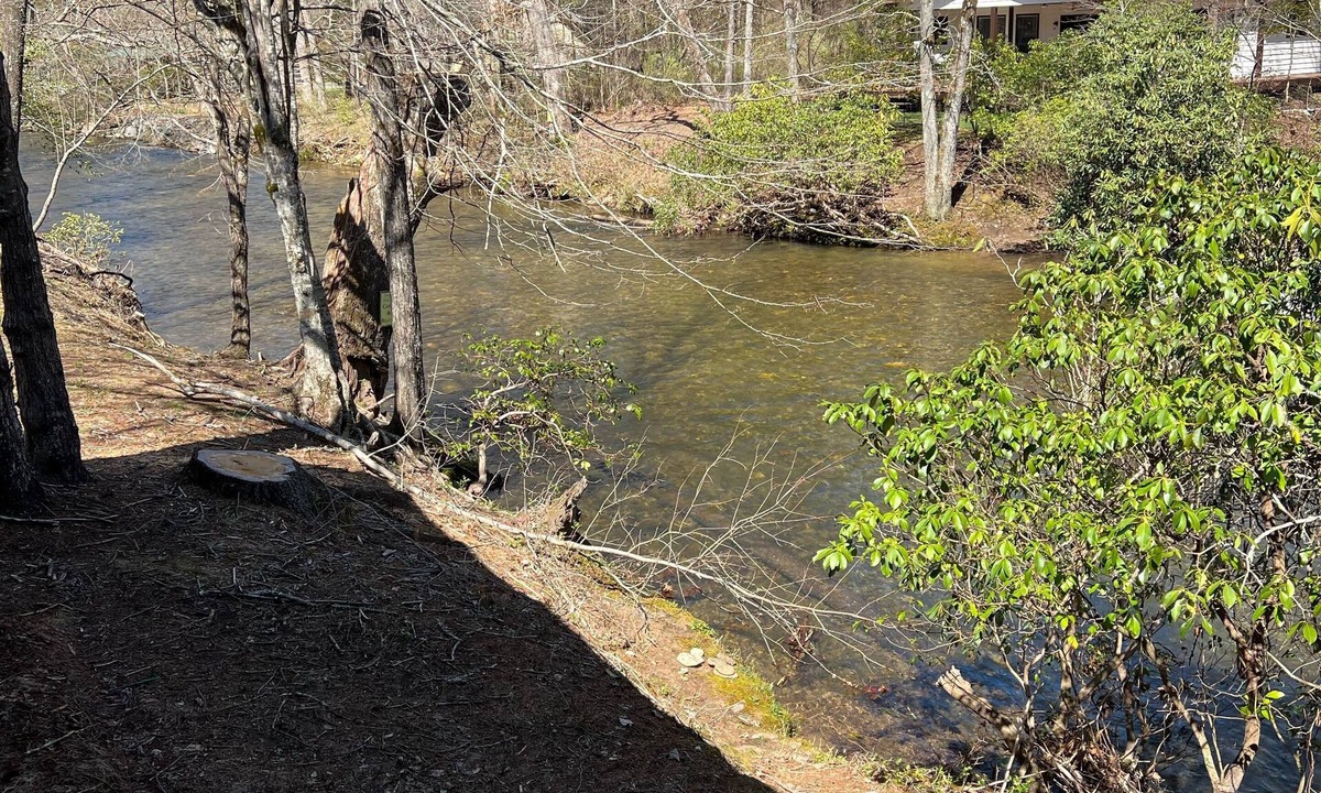 Hiawassee Cabin | Pine River Cabin, River Front, Catch Release Fishing. Ranch Home, Dogs Ok