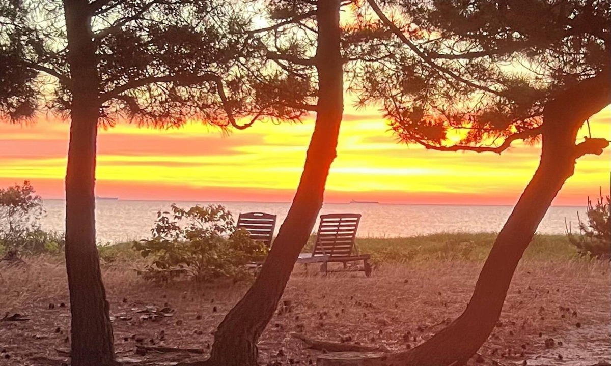 Slaughter Beach Cottage | SEAJOY-Waterfront Rare Coastal Gem Pet Friendly-fenced yard-Completely Renovated
