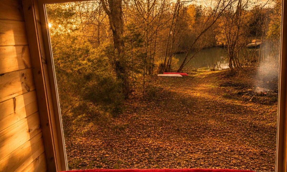 Louisville Cabin | Serene cabin with a pond and creek perfect for relaxing nature adventures