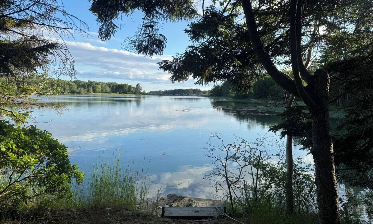Spruce Head Cottage | The Tide House - charming 3-bedroom cottage in Spruce Head, WiFi, waterfront