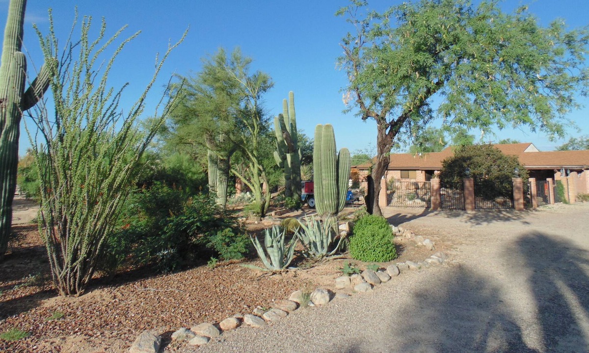 Oro Valley House | Upgraded 2,200 sq. ft. House on an acre