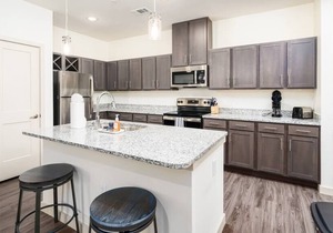 2 Bdrm Texas Corporate Housing Professional Apt