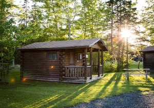 Narrows Too Camping Resort Cabin 8