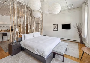 Suite 1- Not Pet Friendly