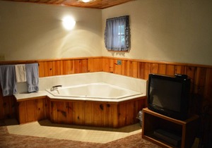 Whispering Pines - Cabin 19 (Studio)