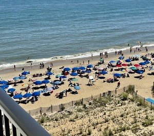 Henlopen Beach 