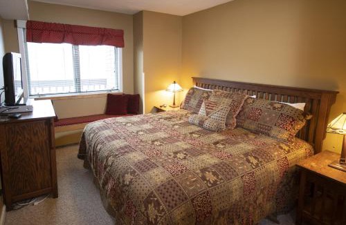 Ludlow Apartment | 1Br Ski-in, Ski-out With King Bed- Okemo Mtn Lodge condo