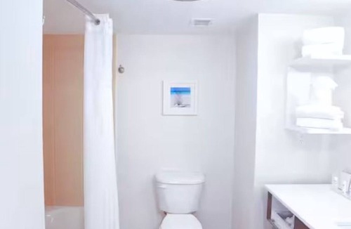 Wesley Chapel Hotel | 2 Queen Beds Standard Room | Breakfast & Comfort