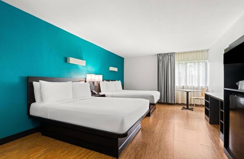 Ludlam Hotel | 3 Modern Rooms with Vibrant Decor Near Miami International Airport - 2.4 miles
