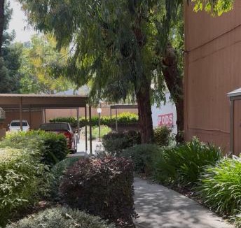 Belmont Apartment | 711 Apt