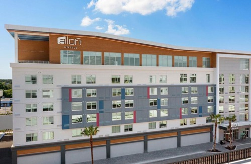 Tampa Hotel | Aloft by Marriott Tampa Midtown