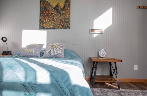 Saluda Cabin | Always a Great Idea To Unwind! Pet-Friendly, Near Green River Game Lands