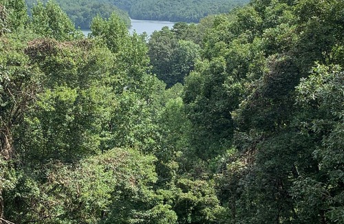 Unaka House | Amazing view from the Family Lake Retreat