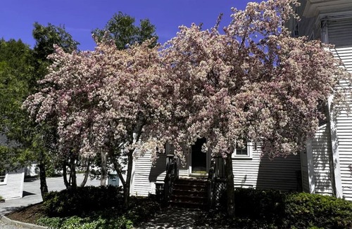 Stowe Area Condo | Artist Studio - 1BR Condo in Stowe Village Historic District
