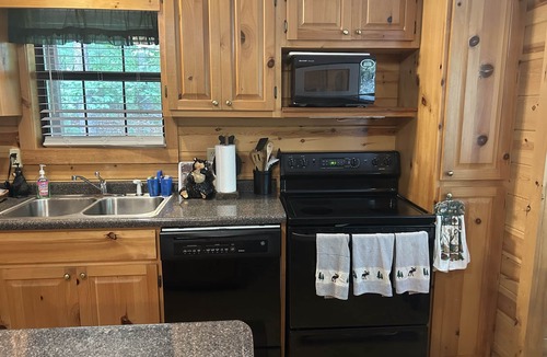 Blairsville Cabin | Bear-A-Dise- A beautiful mountain cabin-sleeps 12, hot tub, game room & firepit.