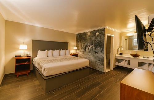 Ocala Hotel | Best Value! Free Breakfast & Parking, Pets Allowed, Seasonal Swimming Pool!