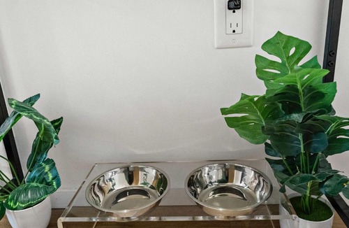 Shawmut Apartment | Boston Family Suite with Pool and Gym how lovely