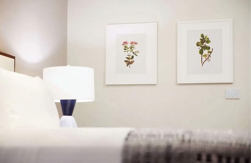 Kaanapali Hotel | Breathtaking Oceanfront Views! 3 Units, Minutes to Pacific Whale Foundation