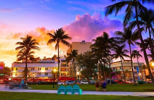 North Beach Hotel | Bright & Sunny Junior Suite with Pool Near North Beach Miami