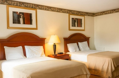 Campbelltown Hotel | Bring the Whole Family! 3 Relaxing Units, Swimming Pool, FREE Breakfast!