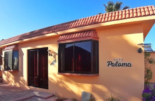Cabo Pulmo Hotel | Bungalows Cabo Pulmo