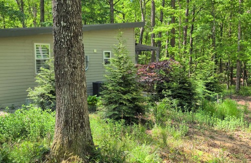 Spencer Cabin | Cabin by Fall Creek Falls