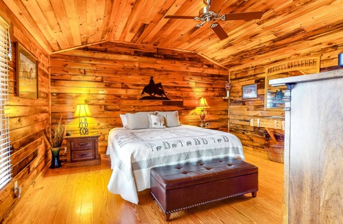 Blue Ridge Cabin | Cabin in the woods with private hot tub & paved road access - dog-friendly