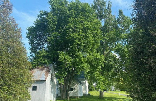 South Stormont House | Charming Heritage Vineyard Guest house | Private Wine Country Retreat