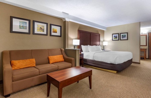 Danville Hotel | Comfort Inn & Suites near Danville Mall