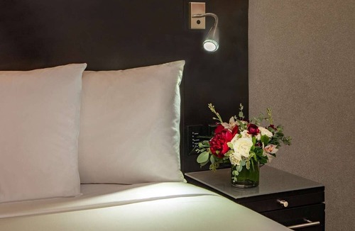 East Cambridge Hotel | Comfortable Cambridge Room w/River Views & Indoor Pool - MIT Nearby