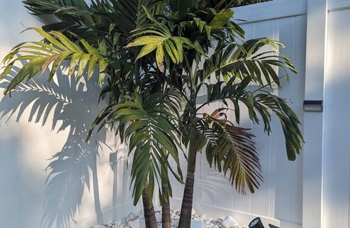 St. Petersburg Apartment | Comfy Guest House in St Pete