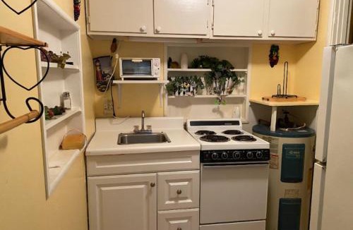 Buckhead Ridge Apartment | Cottage on the Water!