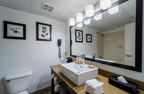North Chesterfield Hotel | Country Inn & Suites by Radisson, Richmond I-95 South, VA