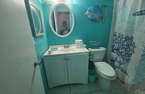 Park East Condo | Cozy 1-bedroom condo in Sarasota within minutes from Siesta Key and Lido Beach