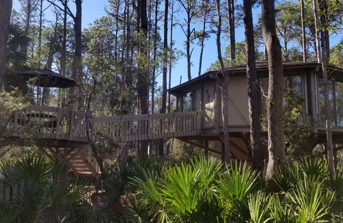 Sea Pines House | Cozy Treehouse Walkable to Harbour Town with Friendly Deer