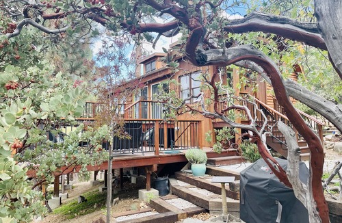 Idyllwild Cabin | Designer cabin treehouse on acre with amazing views and privacy