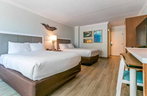 Clearwater Beach Hotel | Dolphin Sands Clearwater Beach, an Ascend Collection Hotel
