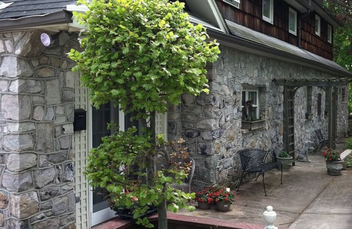 Blue Ridge Summit Cottage | Endless View Ski Cottage, hiking and fire pit 1 and 1/2 hrs from DC/Balt.!