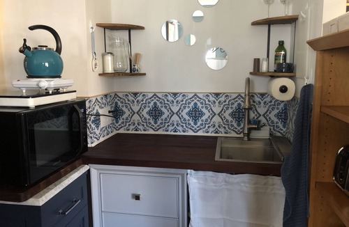Woodmont Triangle Apartment | Fine Art and Garden Views near Bethesda metro